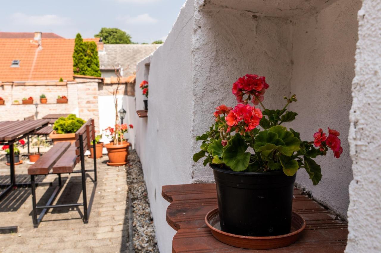 Bed and Breakfast Fényes Vinorium Sopron Esterno foto