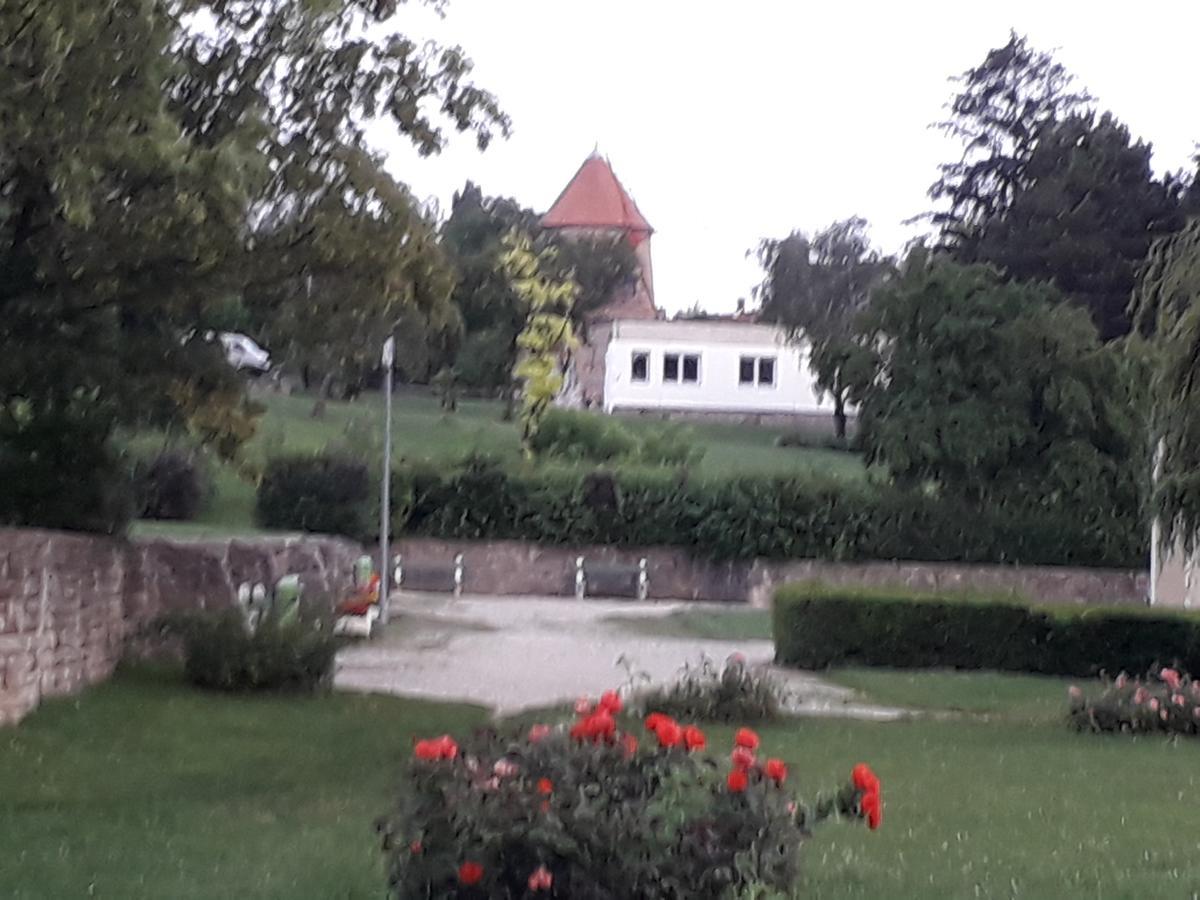 Bed and Breakfast Fényes Vinorium Sopron Esterno foto